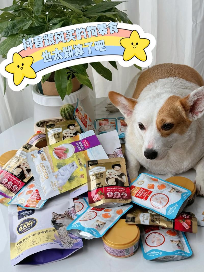 柯基犬用品