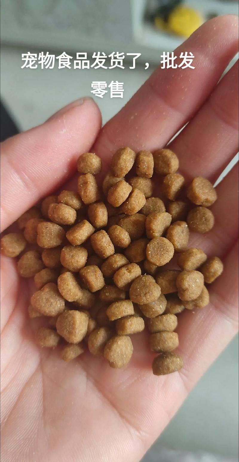 宠物用品批发