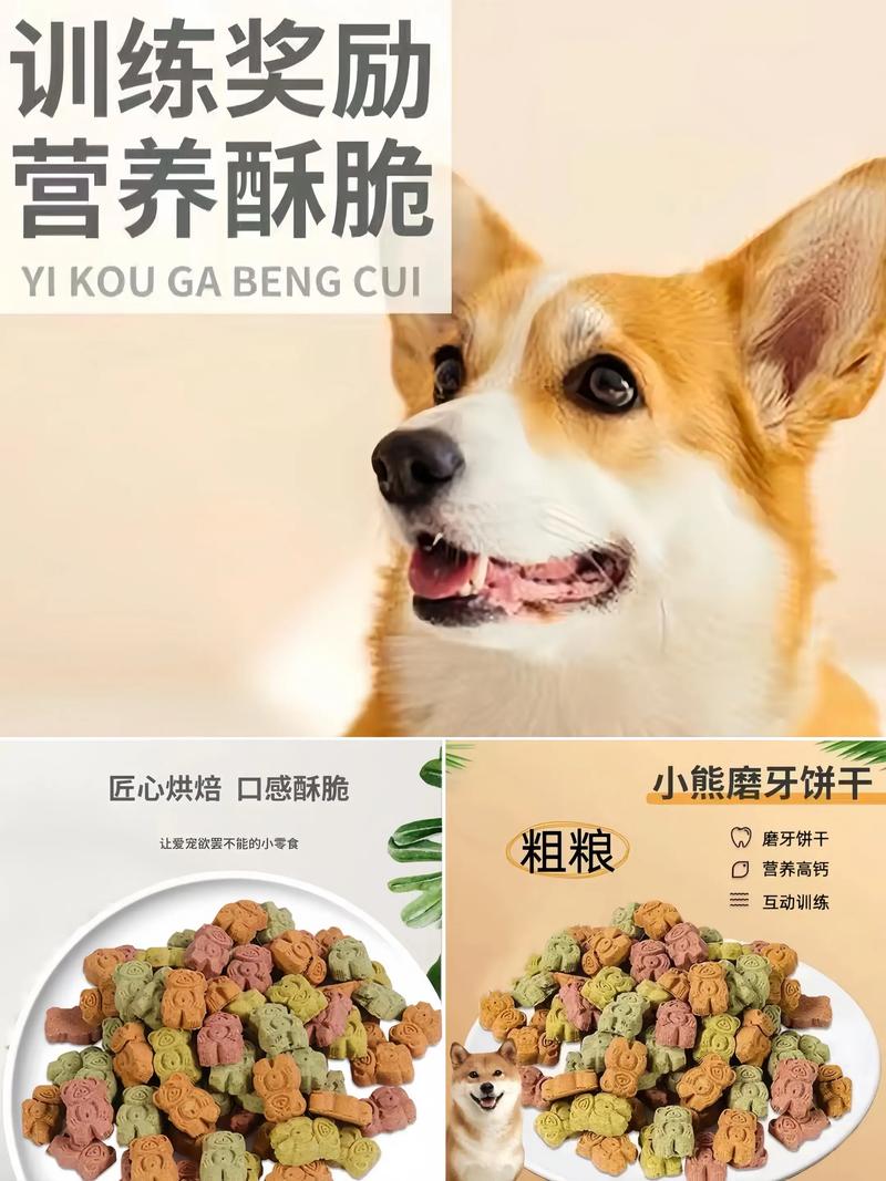 宠物玩具批发市场的最新动态